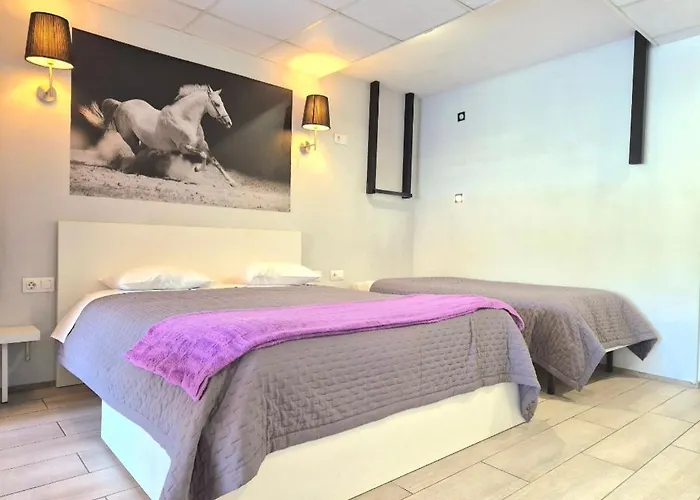 בית נופש Equinaturi